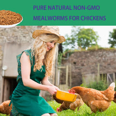KAYHEN dried mealworms close-up highlighting natural ingredients and protein content.
