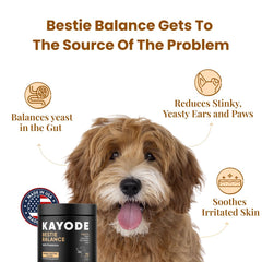 Kayode Bestie Balance chew illustration for paw licking relief.