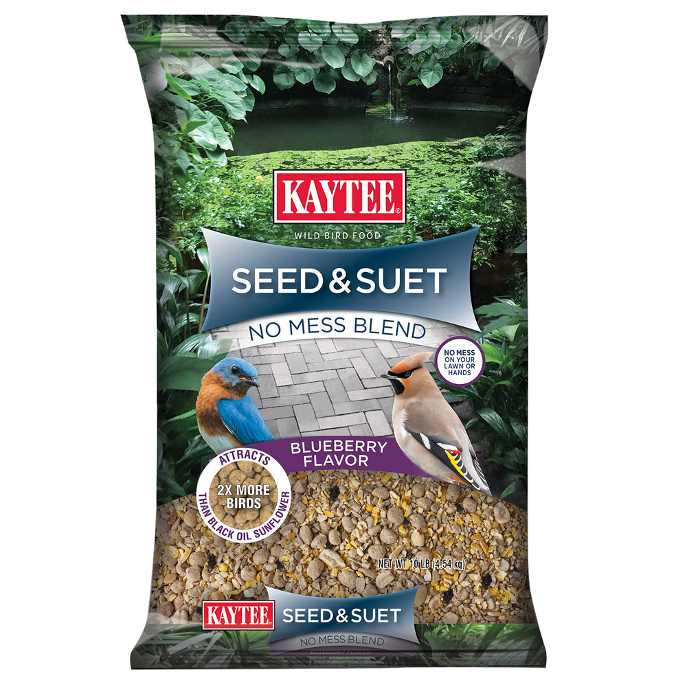 Kaytee Seed & Suet No Mess Blend blueberry flavor feeding from a tube feeder to attract birds.