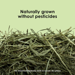Kaytee Timothy Hay highlights long fibers for natural chewing and digestion support.