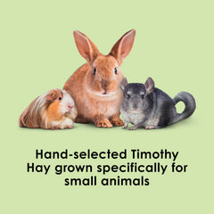 Kaytee Timothy Hay hand-selected process showing optimal leaf-to-stem ratio for balanced nutrition.