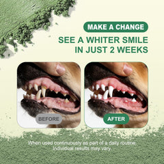 Kiuquty dental powder ingredients panel highlights seaweed, probiotics, and zinc for gentle care.
