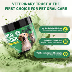 Kiuquty dog dental powder mixed into food demonstrates simple, no-brush oral care for pets.