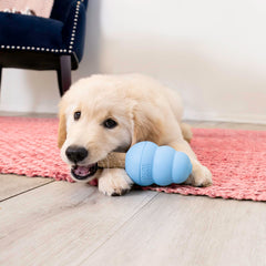 KONG Puppy Ziggies inside a large puppy toy promoting extended playtime.
