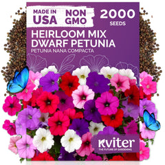 KVITER 2000-mix dwarf petunia seeds packet ready for easy color in beds and containers.