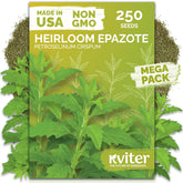KVITER Epazote seeds bulk pack primed for high germination.