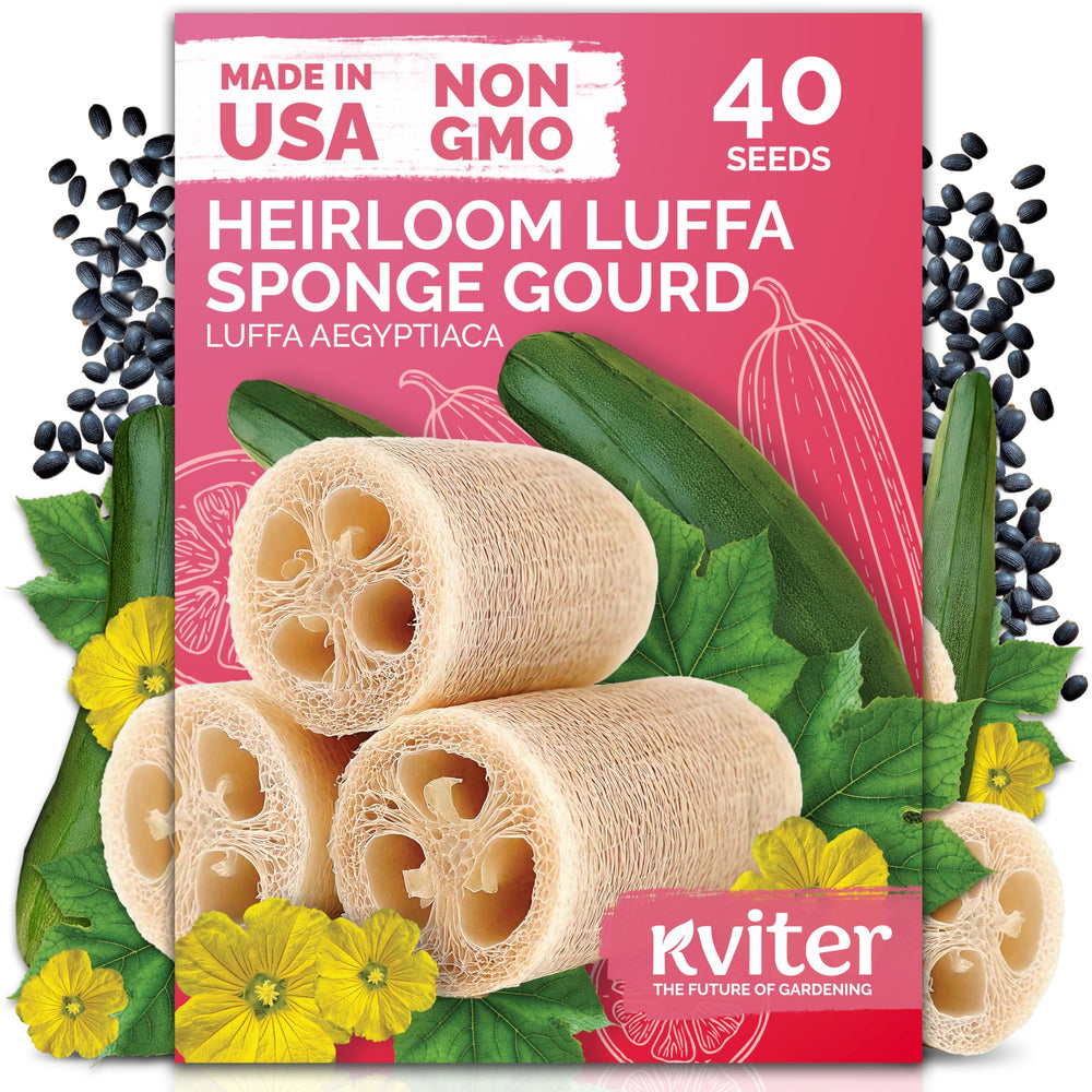 KVITER 40 Luffa seeds primed for planting in a sunny garden bed.