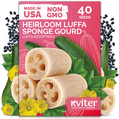 KVITER 40 Luffa seeds primed for planting in a sunny garden bed.