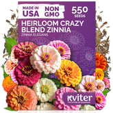 KVITER 550 Crazy Blend Zinnia Seeds with double blooms brighten beds and bouquets.