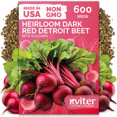 KVITER Detroit Dark Red Beet seeds pack, reliable germination for a thriving home garden