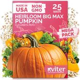 KVITER Big Max pumpkin seeds pack for home planting and giant fruit potential.