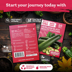 KVITER Black Beauty zucchini seeds plants in garden promise a lush, continuous harvest.