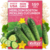 KVITER Boston pickling cucumber seeds packaging for home gardeners.