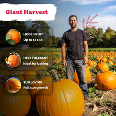 KVITER direct-sow seeds for easy, hands-off garden setup.
