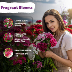 Drought-tolerant dianthus supports low-water garden setups.