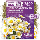 KVITER German chamomile seeds 2500 bulk for easy planting in herb gardens.