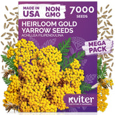 KVITER gold yarrow seeds packet ready for pollinator-friendly planting.