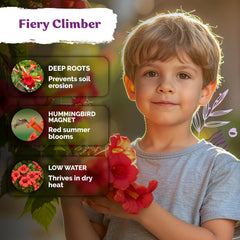 KVITER hummingbird magnet seeds attract pollinators with red florals.