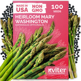 KVITER Mary Washington asparagus seeds pack for long-term garden yields.