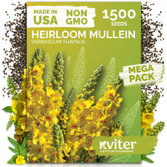 KVITER mullein seeds package for organic herb gardening.