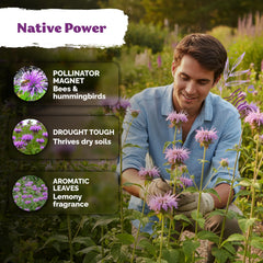 KVITER pollinator magnet bloom supports garden biodiversity and healthy pollination.