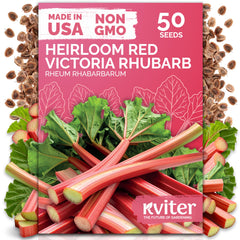 KVITER Red Victoria rhubarb seeds pack ready for outdoor planting in organic garden.