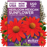 KVITER Tithonia seeds packet front for fast planting and quick garden color.