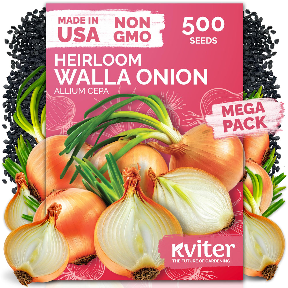 KVITER Walla Walla onion seeds pack ready for planting with strong germination.