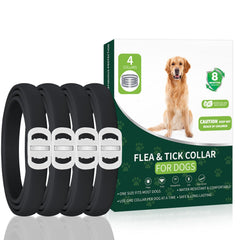 KYGNE flea collar for dogs shown on the neck during a walk, long-lasting protection