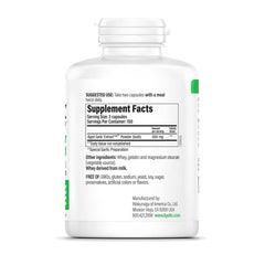 Kyolic Aged Garlic Extract capsules ready for daily use supporting whole-body wellness.
