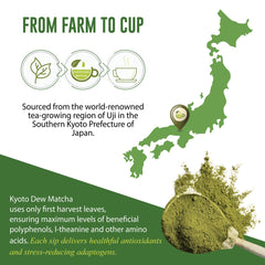 Kyoto Dew Matcha latte cup highlighting creamy texture and smooth sweetness.