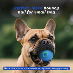 Kytujoy sky blue dog toy; touch-activated fun stimulates curiosity.