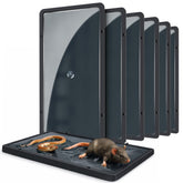 Landisun glue trap for mice and rats indoors, six-pack for versatile placement.