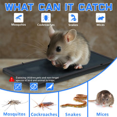 Landisun glue trap placed along walls for effective pest control.
