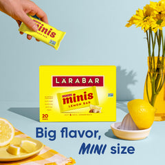 Close-up of Larabar Minis Lemon Bar texture highlighting real ingredients.