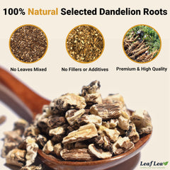 LeafLea Dandelion Root Tea Bags open-box display signals quality and convenience.