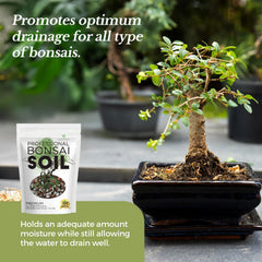 Leaves and Soul calcined clay pinebark mix supports root health and moisture control.