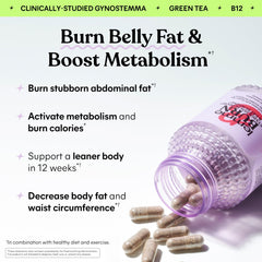 Lemme Burn capsules closeup emphasizing green tea extract for energy metabolism