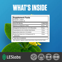 LES Labs Cortisol Health relaxation scene conveys a peaceful evening routine.