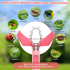 Portable outdoor adventure kit for gardens and parks.