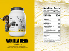 Levels Nutrition vanilla bean casein scoop ready for quick daily protein shakes.