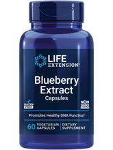 Life Extension Blueberry Extract Capsules bottle on shelf, supporting cognitive wellness and daily health.
