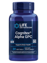 Life Extension Cognitex Basics softgel bottle supports daily memory and focus.