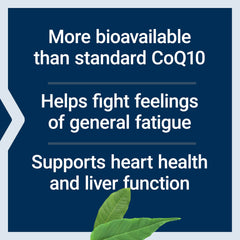 Closeup of Life Extension CoQ10 softgels with smooth, glossy coating.