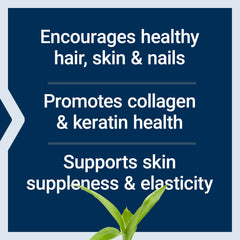 Life Extension Collagen Plus gluten-free non-GMO formula packaging.