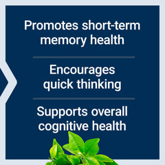 Capsules resting on palm highlight compact daily supplement form