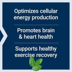 Life Extension Optimized Carnitine packaging box conveys gluten-free, non-GMO quality.