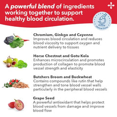 LifeSeasons Circulari-T ingredient blend; includes Butcher’s Broom and Ginkgo