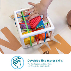 LiKee multi-sensory shapes feature textured blocks for tactile exploration.