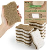 LILAC 12-pack cellulose sponges in package for eco-friendly dishwashing.